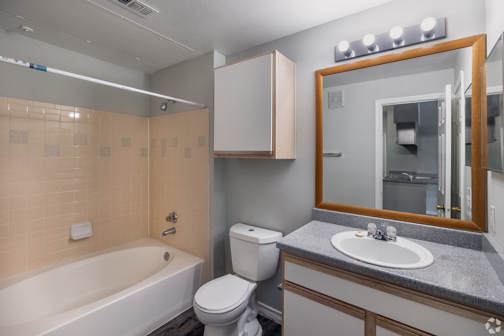 a bathroom with a sink toilet and tub and a mirror