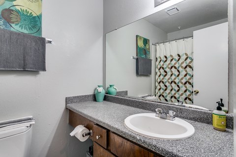 a bathroom with a sink and a mirror and a toilet