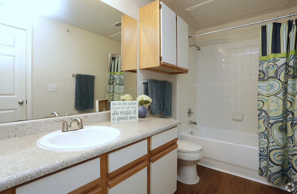 a bathroom with a sink and a toilet and a shower