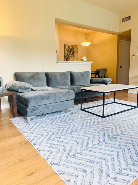 a living room with a couch and a rug