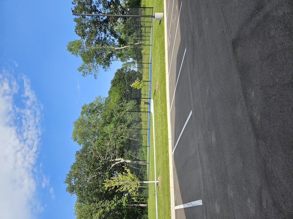 A road with a white line on the side and trees in the background.