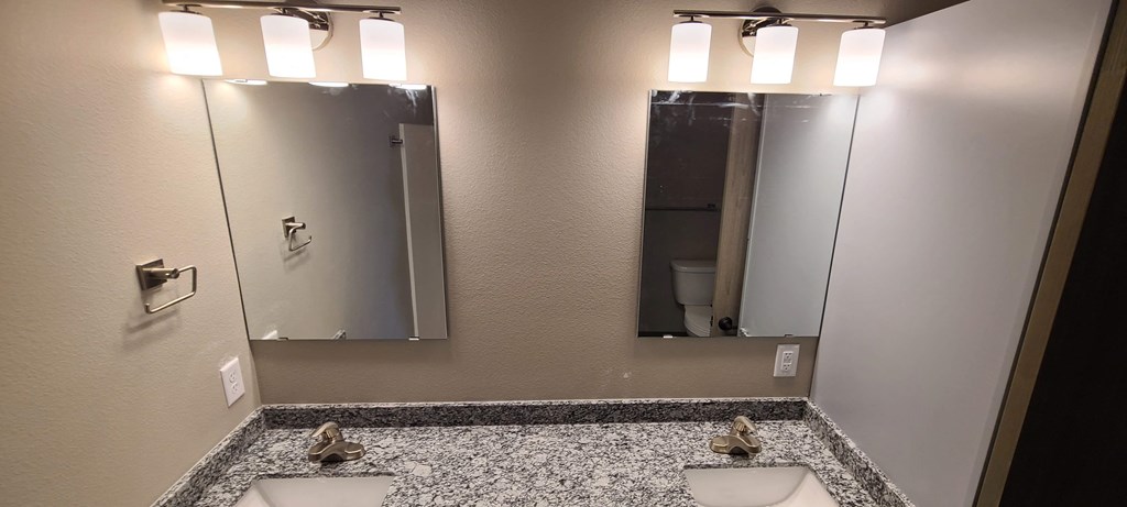 a bathroom with a sink and a mirror and a toilet