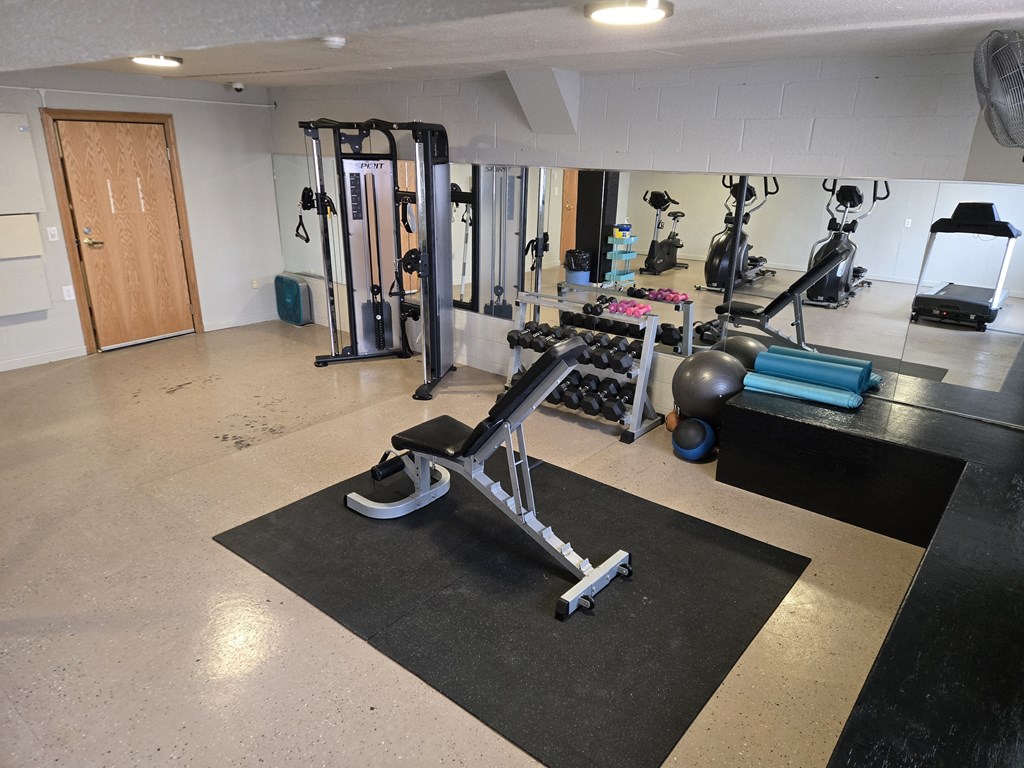 A gym with a variety of equipment including a rowing machine.