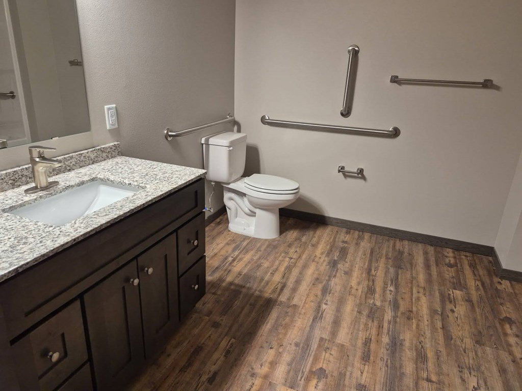 A bathroom with a toilet, sink, and grab bars.