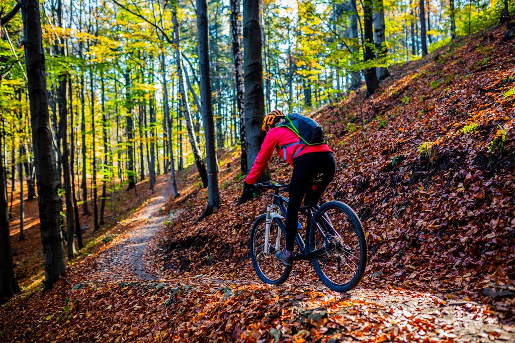 a person riding a bike down a trail in the woods