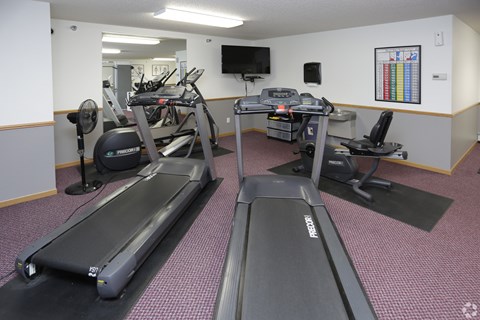 A gym with treadmills and elliptical machines.