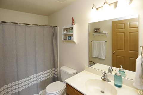 A bathroom with a toilet, sink, and shower curtain.