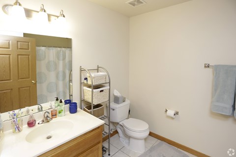 A bathroom with a toilet, sink, and mirror.