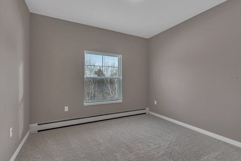 A room with a window showing a tree outside.