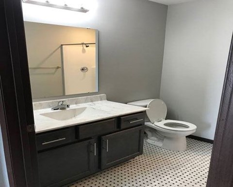A bathroom with a toilet, sink, and mirror.