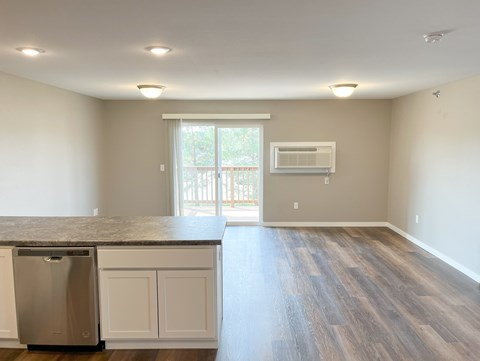 A kitchen with a dishwasher, cabinets, and a window.