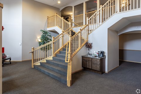 a spiral staircase in a building with a plant in the corner