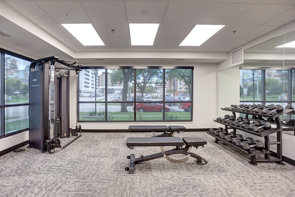 A gym with a row of dumbbells and a squat rack.