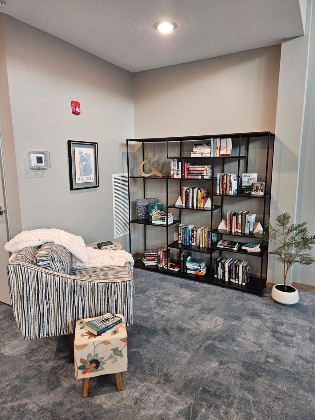 A room with a bookshelf, a chair, and a small tree.