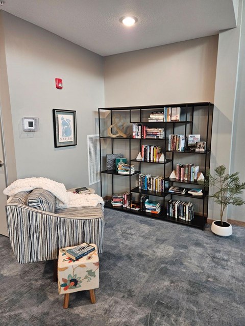 A room with a bookshelf, a chair, and a small tree.