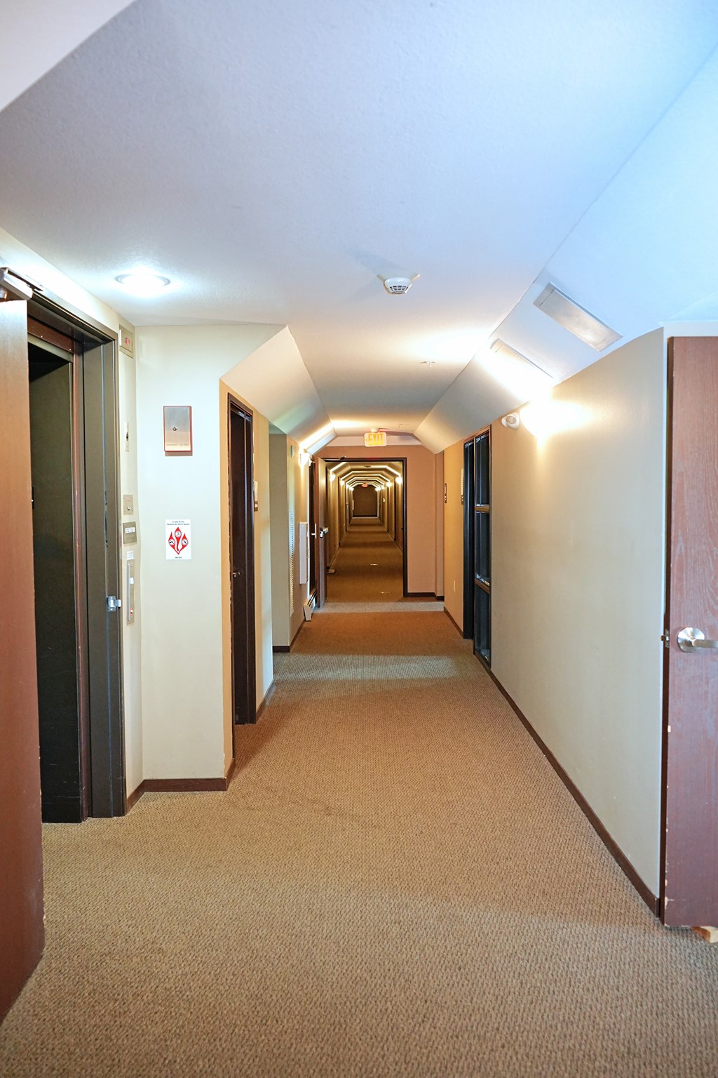 A hallway with carpeted floors and doors on both sides.