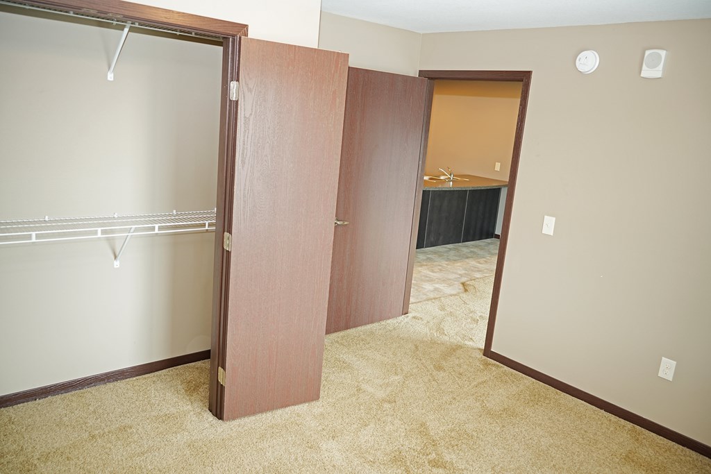 A room with a carpeted floor and a closet with a sliding door.
