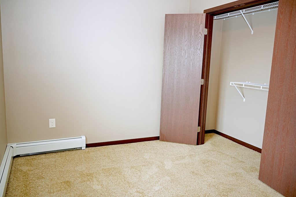 A room with a carpeted floor and a closet with a door open.