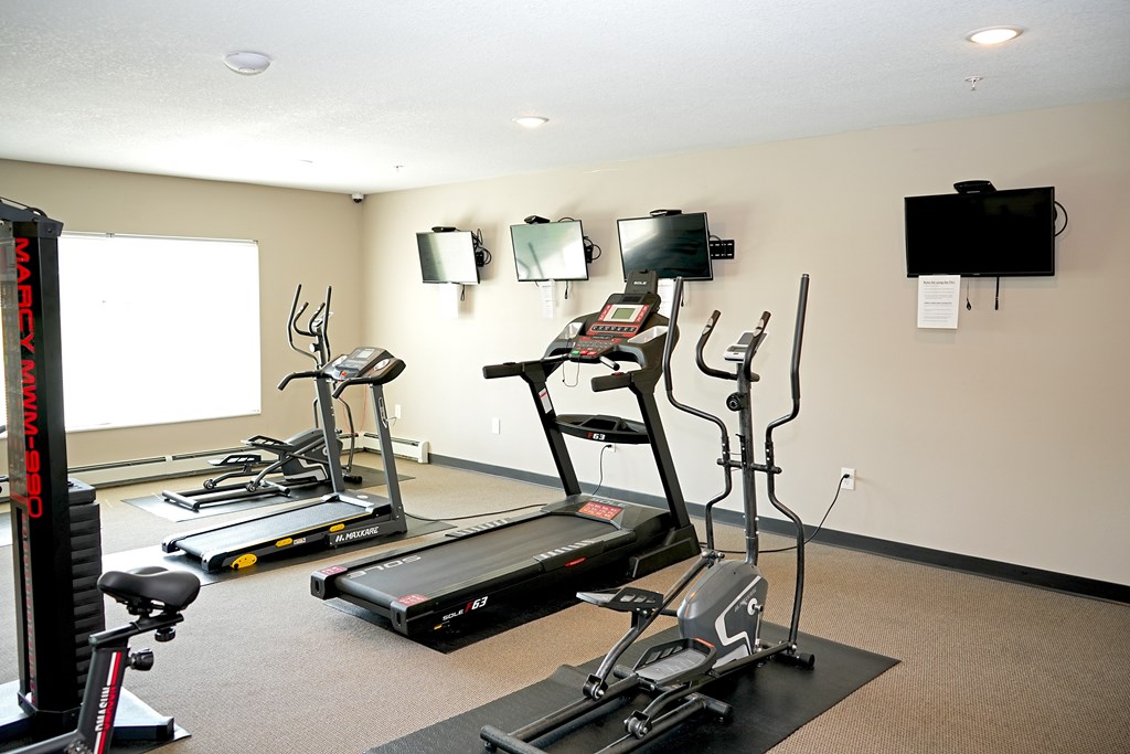 A gym with treadmills, exercise bikes, and other equipment.