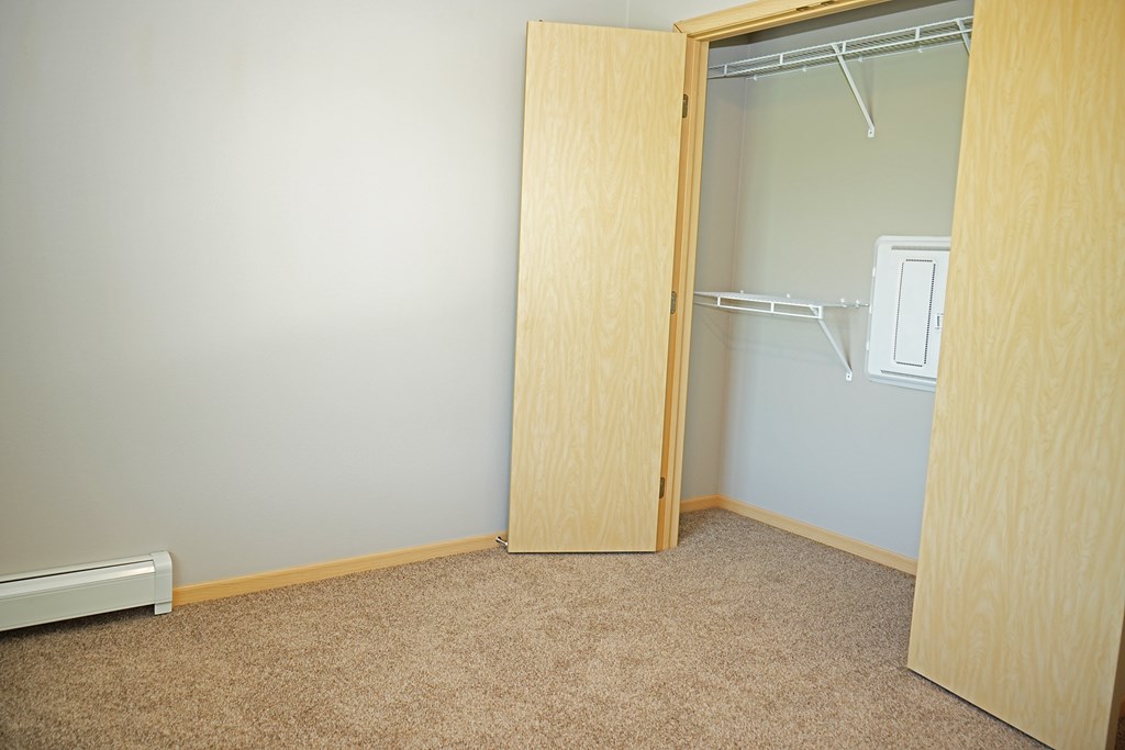 A room with a carpeted floor and a closet with a door open.