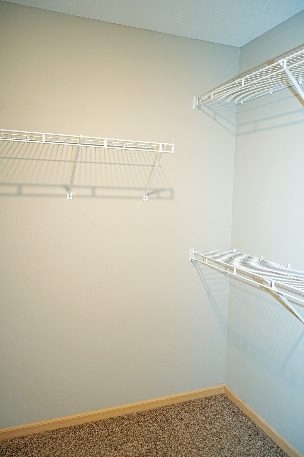 Empty white shelves in a room with a carpeted floor.