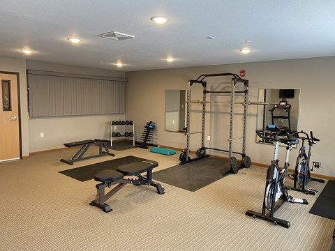 A spacious gym with a variety of equipment including a treadmill, weights, and a bench press.