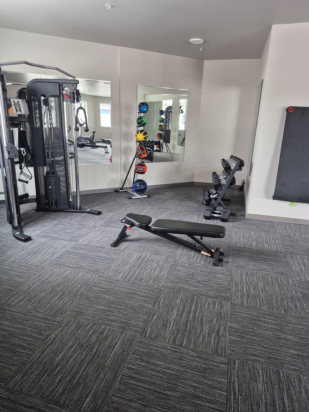 A gym with a variety of equipment including a treadmill, weights, and a bench press.