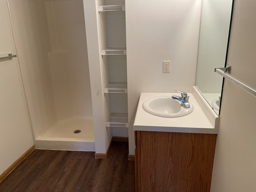 a bathroom with a sink and a shower and a mirror