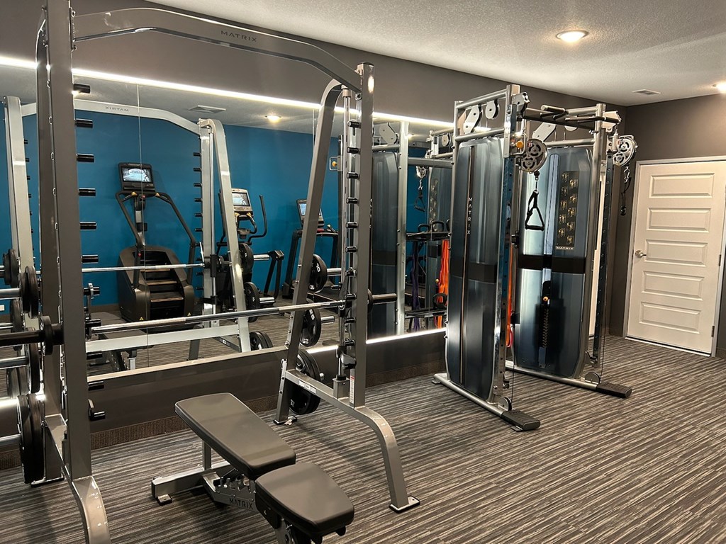 a gym with weights and cardio equipment in a home gym