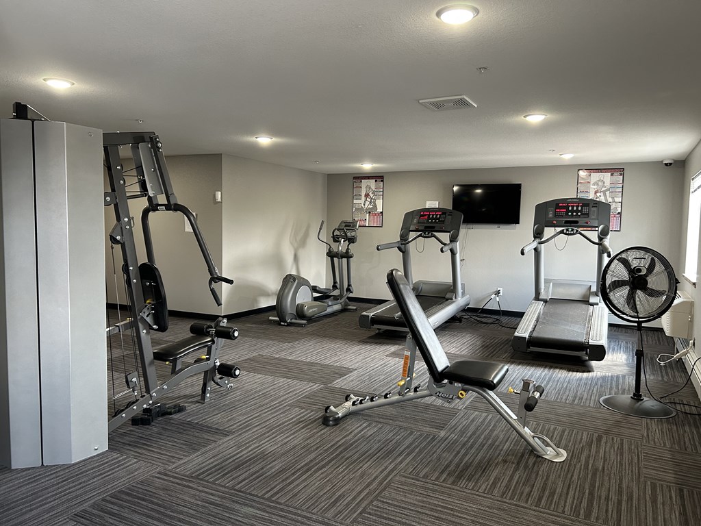 A gym with a variety of equipment including treadmills, weights, and a fan.