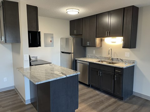 A kitchen with black cabinets and a granite countertop.