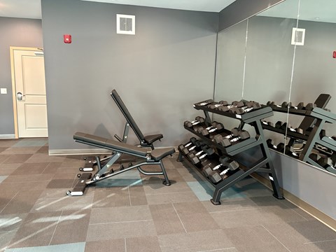 A gym with a bench, weights, and mirrors.