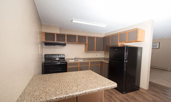 Kitchen area with black appliances