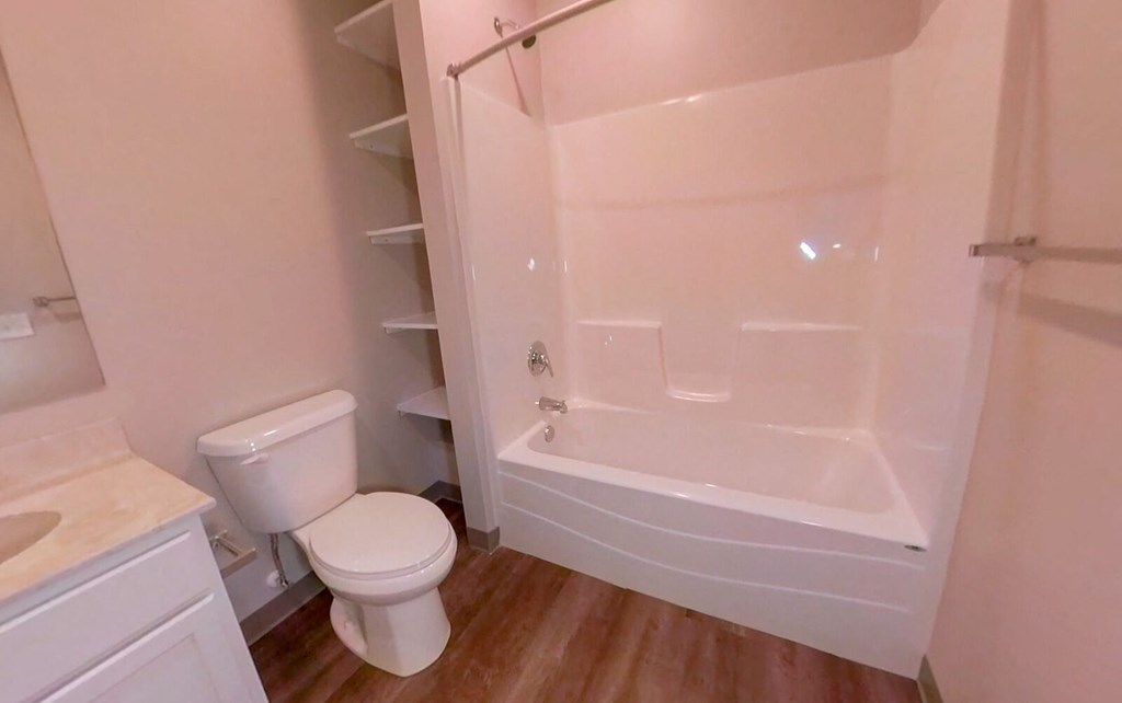 a bathroom with a toilet and a bath tub