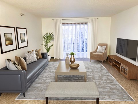 A living room with a grey couch, a coffee table, and a television.