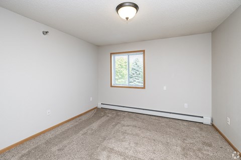 A room with a carpeted floor and a window showing trees outside.