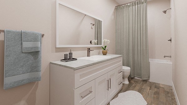 a bathroom with a sink and a toilet and a mirror