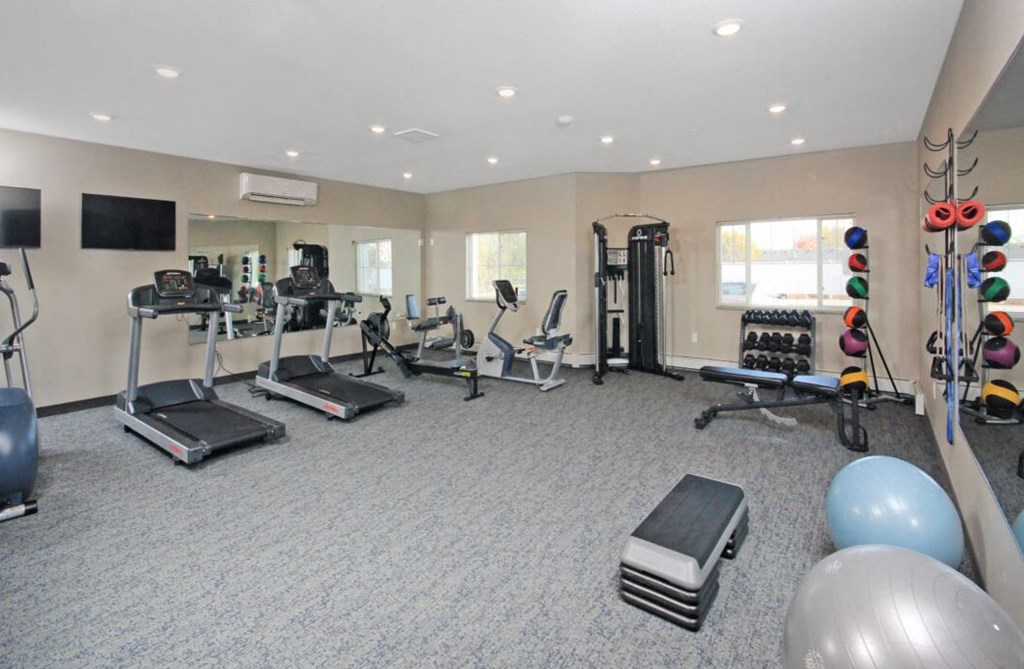 a gym with weights and cardio equipment in a home gym