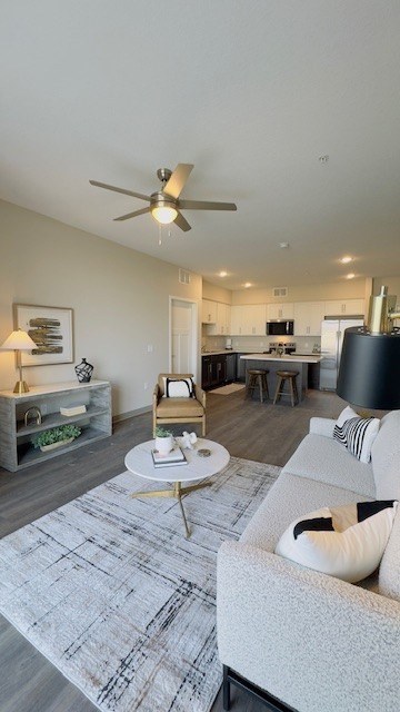 A living room with a grey sofa and a patterned rug.