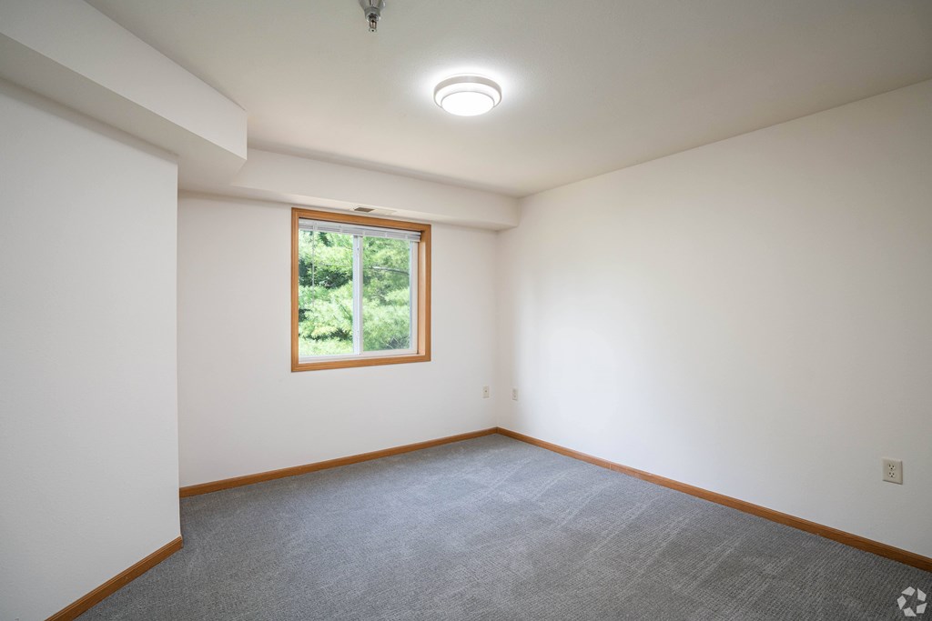 A room with a window and a grey carpet.