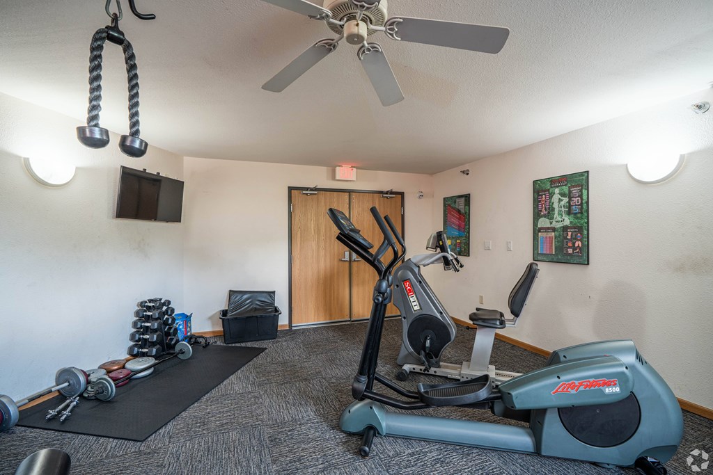 A room with a stationary bike and a row of dumbbells.