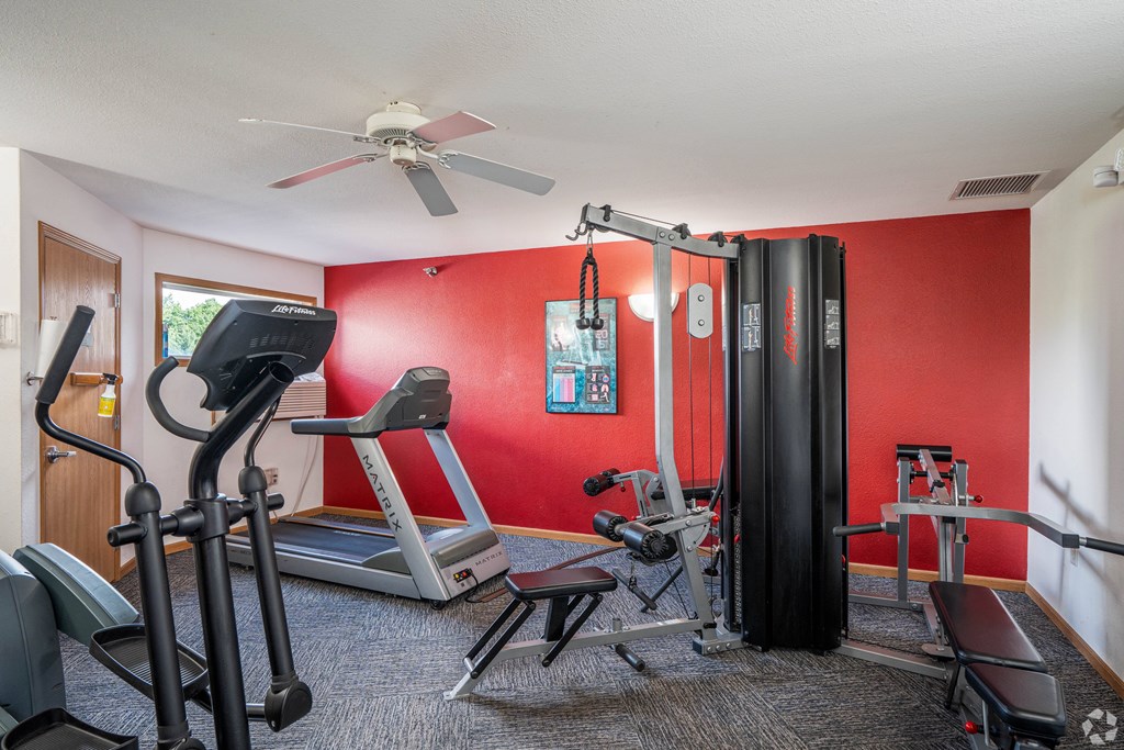 A home gym with a treadmill, weights, and a bench.