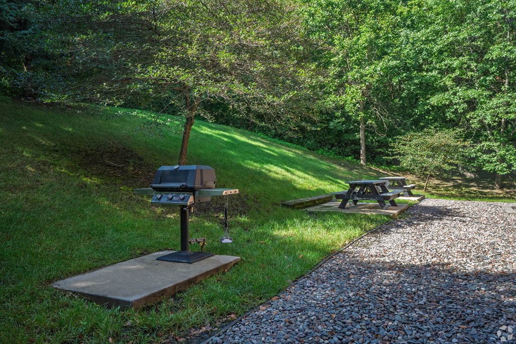 A picnic table is set up in a grassy area next to a gravel path.