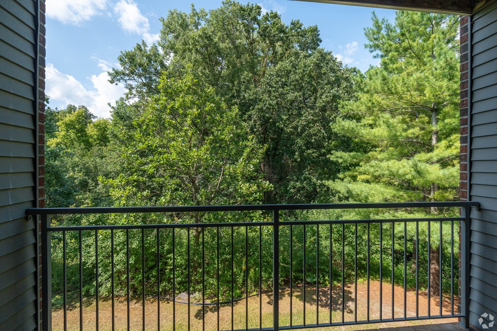 A black metal railing overlooks a green backyard.