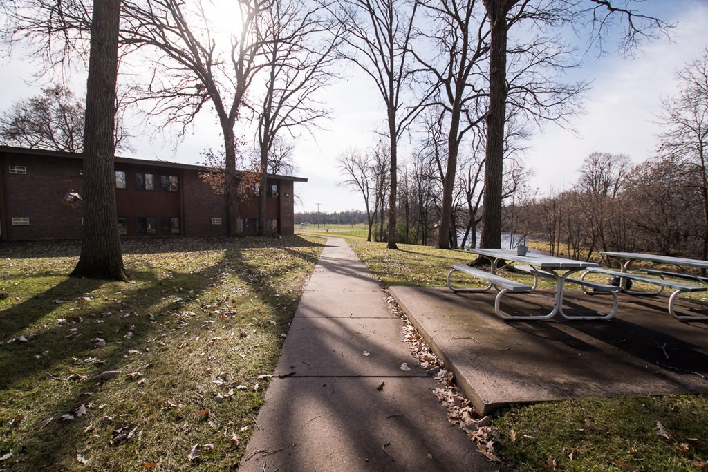 A pathway with a bench and trees on either side.