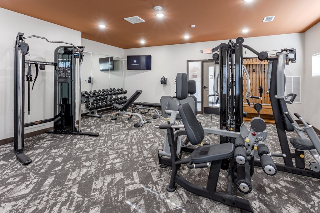 a gym with weights and cardio equipment and a tv on the wall