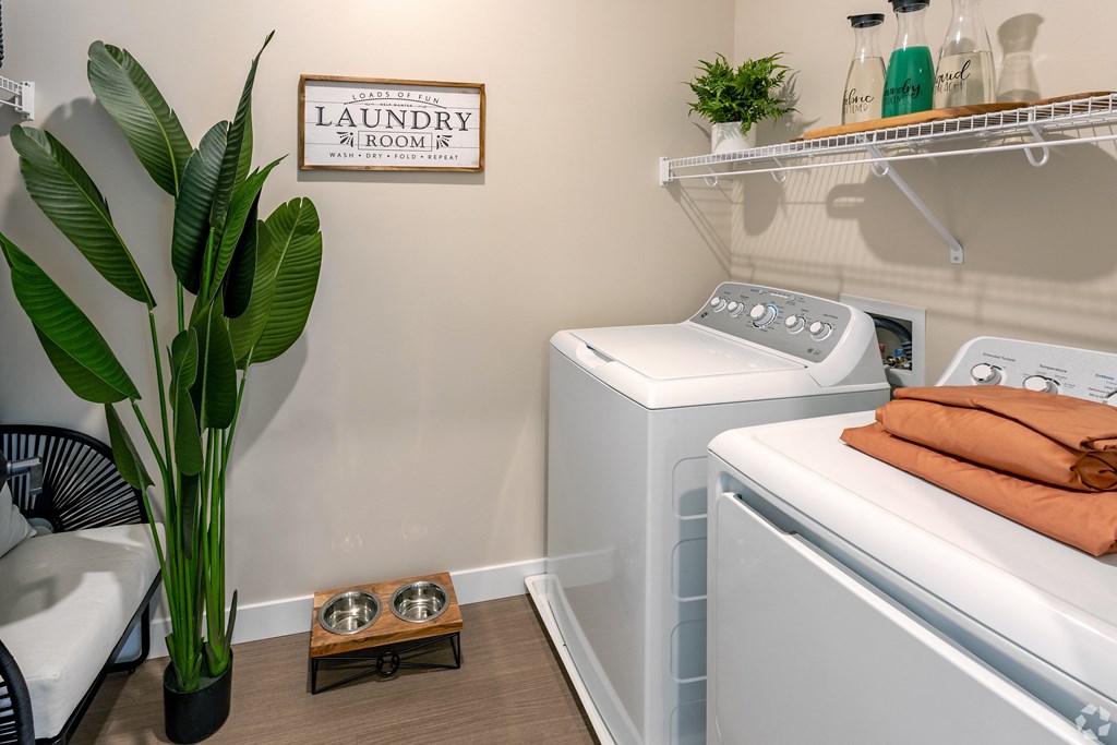 a washer and dryer in a laundry room with a plant
