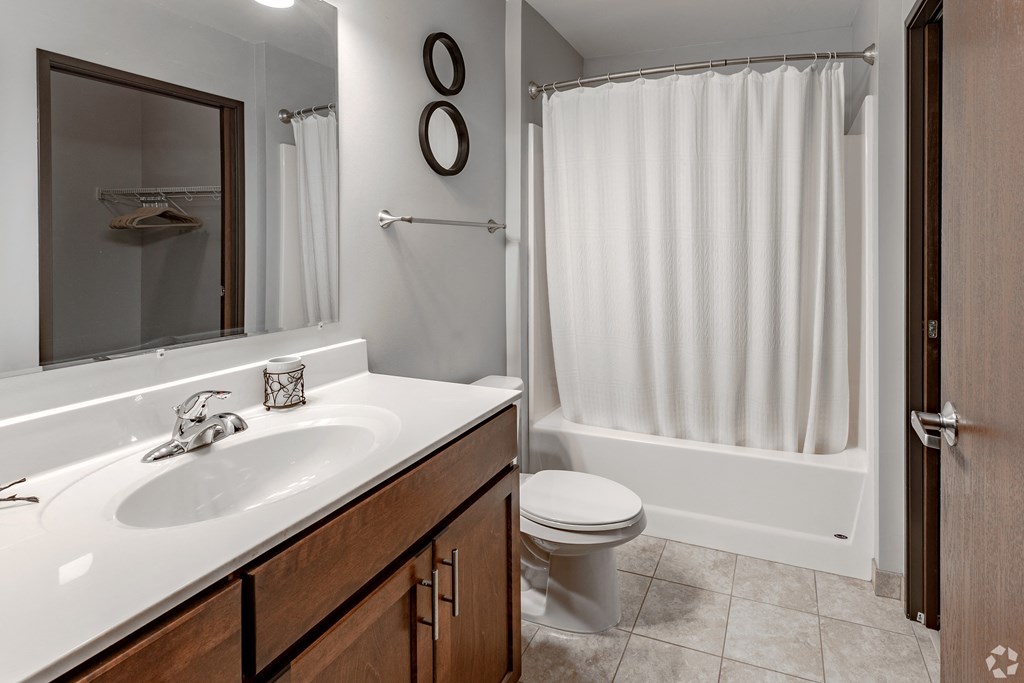 a bathroom with a sink and a toilet and a shower