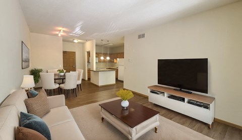 a living room with a couch and a television
