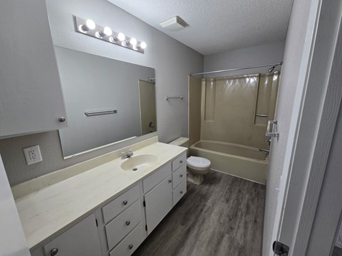 A bathroom with a sink, mirror, toilet, and shower.
